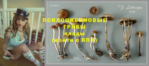 гидра Алексеевка