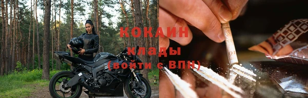 дмт Абаза